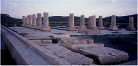 pasargad2.jpg